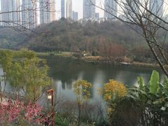 -重庆彩云湖湿地公园