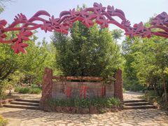 -武清南湖绿博园