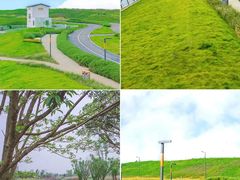 -桂溪生态公园