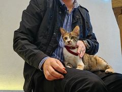 -佬干溜豌杂面·非物质文化遗产(长嘉汇店)