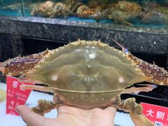 招牌梭子蟹-宝燕壹号(徐汇店)