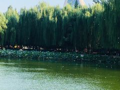 -团结湖公园