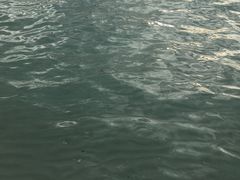 -白沙滩