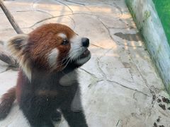 -常州淹城野生动物世界