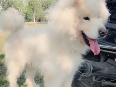 -洨河生态公园
