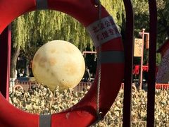 -北陵公园