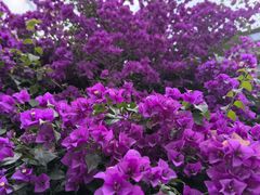 -琶醍壹号•潮菜江景餐吧