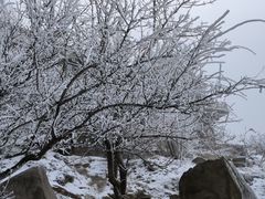 -泰山风景名胜区