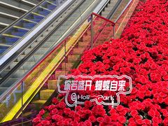 -万科生活广场(东莞松山湖店)