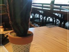 -TEQO·Mexican food & Bar