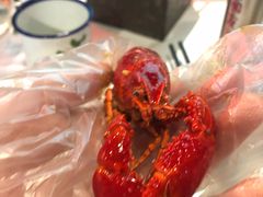 -丹虾|文和友小龙虾·烙锅(陕西路旗舰店)