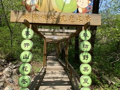 -大岭沟猕猴桃谷风景区