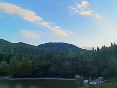 -武陵山森林公园