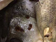 -老阊门菜馆(山塘街店)