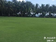 -三亚亚龙湾红树林度假酒店