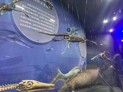 -国家自然博物馆