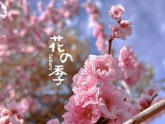 -黑龙潭公园