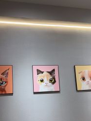 -洗脸猫·洗脸吧