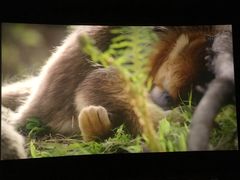 -天幕新彩云国际影城(激光巨幕店)