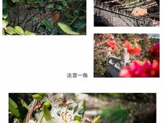 -杭州上天竺法喜讲寺