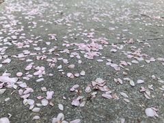 -白塘生态植物园
