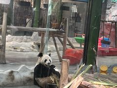 -栾川竹海野生动物园