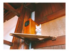 -铃木食堂(帽儿胡同店)