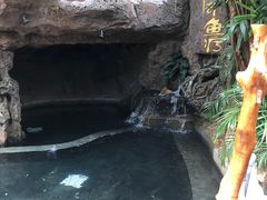 -泉眼温泉