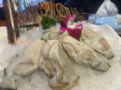 -老牌坊云南鱼豆花火锅(嵩山店)