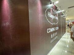 -哈根达斯(SM店)