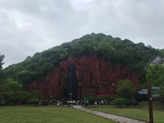 -黄贤森林公园