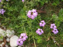 -艾溪湖湿地公园