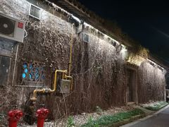 -鲁镇
