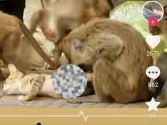 -昆明动物园