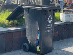 -春花秋色城市公园