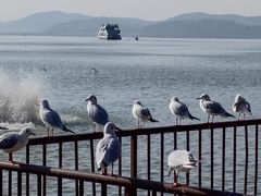 -海埂大坝