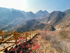 -水峪民俗村