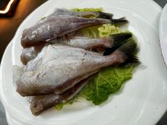 精品大耗儿鱼-凤来栖·净庭院·火锅(欧尚店)