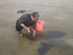 -红树林天天赶海