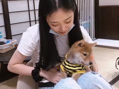 -逗柴咖啡屋·狗咖猫咖宠物桌游