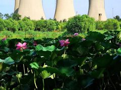 -永定河休闲森林公园