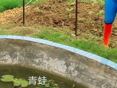-花博汇(知音花月夜)