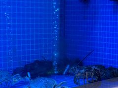 -英冠索菲特酒店·萧湘阁中餐厅