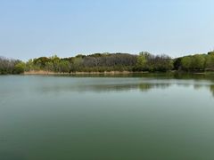 -昆山城市生态森林公园