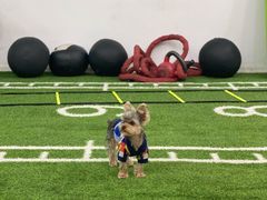 -P.T HERO私人健身工作室(吾悦国际店)