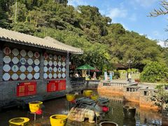 -鼎湖山风景区