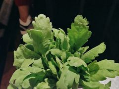 -王家渡火锅店(亦庄店)