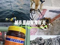 -中国中医科学院西苑医院(本部)