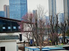 -后襄河公园