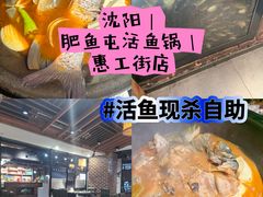 -肥鱼屯活鱼锅(惠工街店)